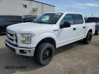 2015 Ford F-150 XLT with VIN 1FTEW1C84FKD37859, listed as a Copart auction lot 45600765 with 119,095 mi miles and Salvage Title. Bid and sale history available at carsss.com. Image 1.