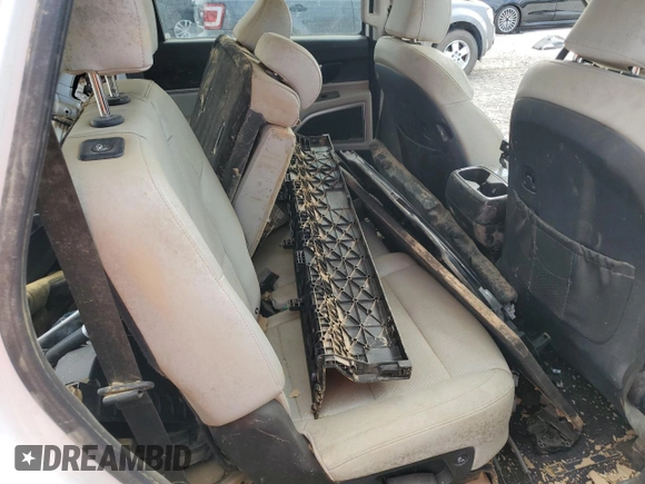 2020 Kia Telluride S with VIN 5XYP64HC1LG009842, listed as a Copart auction lot 48749955 with Not Provided miles and Salvage Title. Bid and sale history available at DreamBid. Image 11.