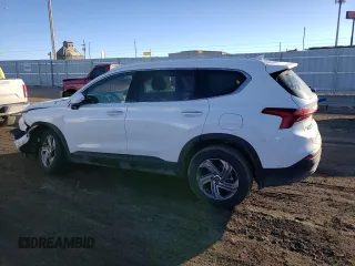 2023 Hyundai Santa Fe SEL with VIN 5NMS2DAJ4PH509469, listed as a Copart auction lot 39983403 with 3,371 mi miles. Bid and sale history available at carsss.com. Image 2.