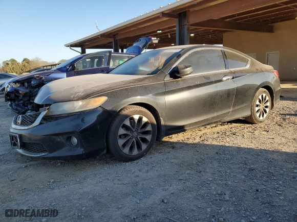 2013 Honda Accord Cpe EX-L with VIN 1HGCT1B85DA013227, listed as a Copart auction lot 42217315 with 124,755 mi miles and Salvage Title. Bid and sale history available at carsss.com. Image 1.