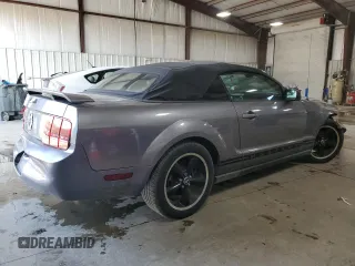 2006 Ford Mustang Standard with VIN 1ZVFT84N565111058, listed as a Copart auction lot 48254345 with Not Provided miles and Salvage Title. Bid and sale history available at carsss.com. Image 3.