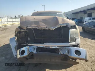 2010 Ford F-150 XL with VIN 1FTEW1C82AFD04120, listed as a Copart auction lot 48870955 with 209,719 mi miles and Salvage Title. Bid and sale history available at carsss.com. Image 5.