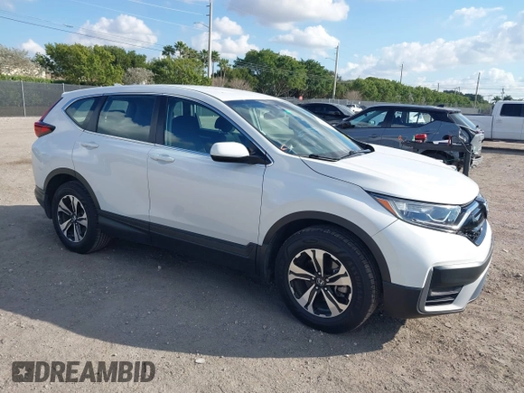 2021 Honda CR-V Special Edition with VIN 5J6RW1H76ML009815, listed as a IAAI auction lot 41530974 with 38,004 mi miles. Bid and sale history available at carsss.com. Image 1.