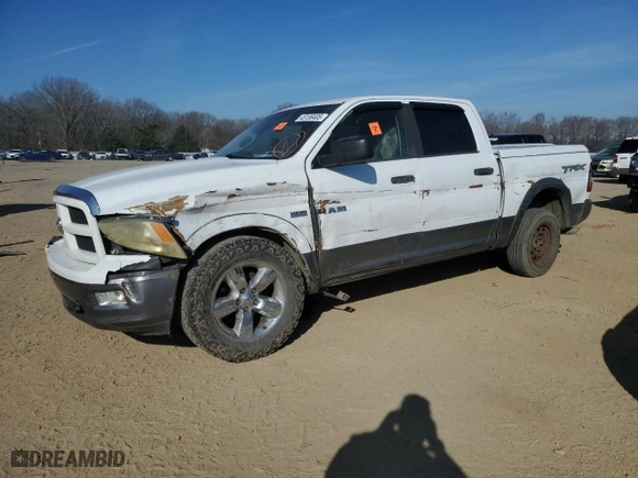 2010 Dodge Ram 1500 ST with VIN 1D7RB1CTXAS178717, listed as a Copart auction lot 45199405 with 298,140 mi miles and Salvage Title. Bid and sale history available at carsss.com. Image 1.