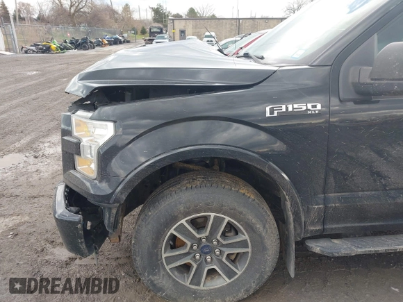 2016 Ford F-150 XLT with VIN 1FTFX1EF5GFC08651, listed as a IAAI auction lot 41898070 with 175,306 mi miles and . Bid and sale history available at carsss.com. Image 20.