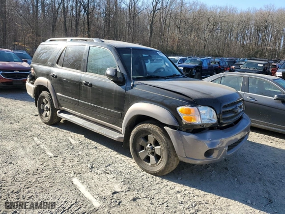 2002 Toyota Sequoia SR5 with VIN 5TDBT44A92S079002, listed as a Copart auction lot 48105725 with 349,080 mi miles and Salvage Title. Bid and sale history available at carsss.com. Image 4.