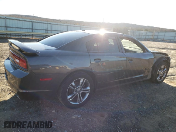 2013 Dodge Charger RT with VIN 2C3CDXDT3DH731025, listed as a Copart auction lot 40561264 with 117,228 mi miles and Salvage Title. Bid and sale history available at carsss.com. Image 3.