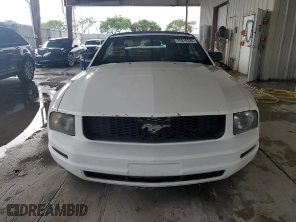 2006 Ford Mustang Standard with VIN 1ZVFT84N565202458, listed as a Copart auction lot 75310324 with 123,833 mi miles and Clean Title. Bid and sale history available at carsss.com. Image 5.