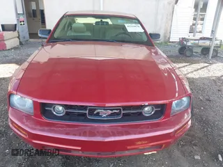 2008 Ford Mustang Deluxe with VIN 1ZVHT80N185124424, listed as a IAAI auction lot 42216870 with 45,660 mi miles and . Bid and sale history available at DreamBid. Image 12.