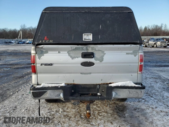 2010 Ford F-150 XL with VIN 1FTMF1EW1AKE04336, listed as a Copart auction lot 89282095 with 248,946 mi miles and Clean Title. Bid and sale history available at DreamBid. Image 6.