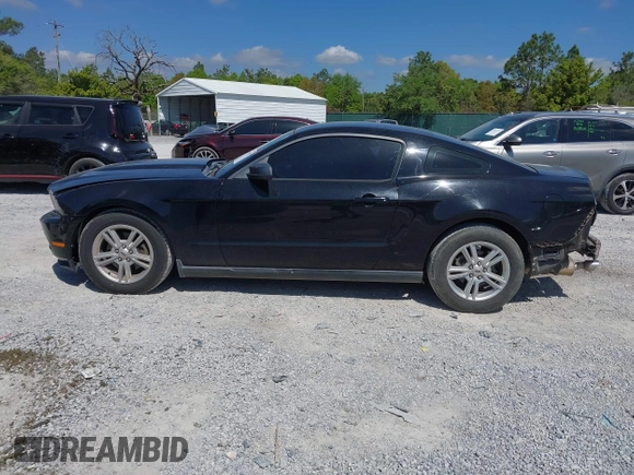 2011 Ford Mustang V6 with VIN 1ZVBP8AM5B5160365, listed as a IAAI auction lot 42003791 with 175,579 mi miles and . Bid and sale history available at carsss.com. Image 15.