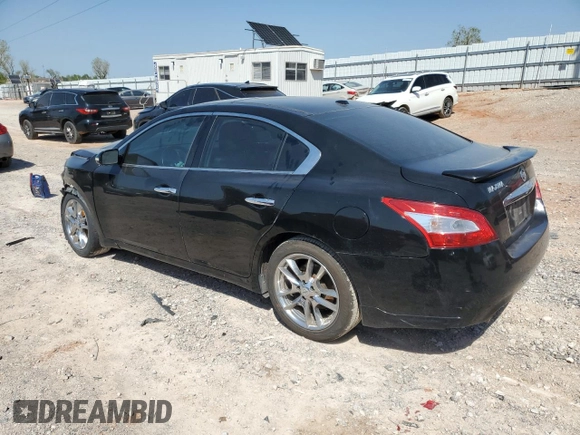 2011 Nissan Maxima SV with VIN 1N4AA5AP8BC800725, listed as a Copart auction lot 52021755 with Not Provided miles and Salvage Title. Bid and sale history available at DreamBid. Image 2.
