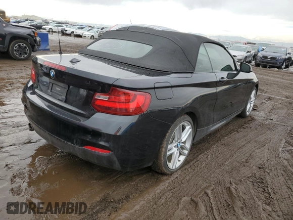 2016 BMW 2 Series 228i xDrive with VIN WBA1L9C59GV325182, listed as a Copart auction lot 41804824 with 44,549 mi miles. Bid and sale history available at carsss.com. Image 3.