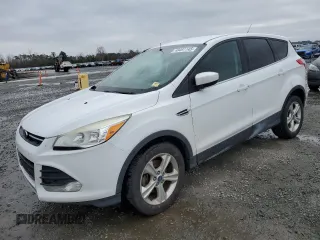 2013 Ford Escape SE with VIN 1FMCU0GX5DUA80619, listed as a Copart auction lot 48491145 with 195,246 mi miles and Clean Title. Bid and sale history available at carsss.com. Image 1.