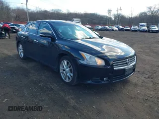 2009 Nissan Maxima SV with VIN 1N4AA51E59C815482, listed as a IAAI auction lot 41683955 with 241,017 mi miles and . Bid and sale history available at DreamBid. Image 1.
