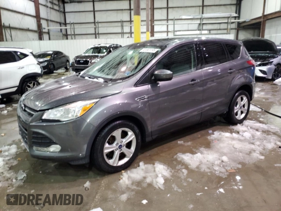 2014 Ford Escape SE with VIN 1FMCU0G99EUA28333, listed as a Copart auction lot 41561195 with 107,679 mi miles and Salvage Title. Bid and sale history available at carsss.com. Image 1.