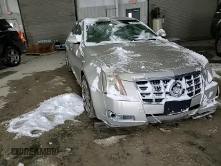 2013 Cadillac CTS Premium with VIN 1G6DP5E31D0115180, listed as a Copart auction lot 44717465 with 239,353 mi miles and Salvage Title. Bid and sale history available at DreamBid. Image 10.