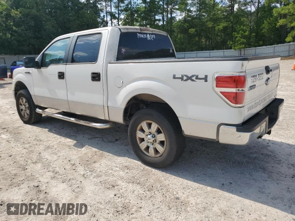 2011 Ford F-150 XL with VIN 1FTFW1EF7BFC37502, listed as a Copart auction lot 64830405 with 300,481 mi miles and Clean title. Bid and sale history available at DreamBid. Image 2.