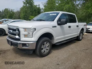 2015 Ford F-150 XLT с VIN 1FTEW1E85FFB51933, выставлен на аукционе Copart как лот 59901355 с пробегом 436 271 миль миль и Чистый • Clean title. История ставок и продаж доступна на DreamBid. Изображение 1.