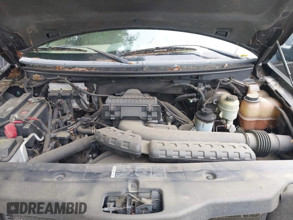 2005 Ford F-150 XLT with VIN 1FTPX14545NB61967, listed as a IAAI auction lot 42369910 with 119,170 mi miles and . Bid and sale history available at DreamBid. Image 10.