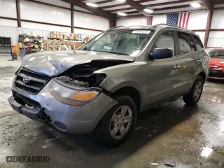 2009 Hyundai Santa Fe GLS with VIN 5NMSG13D39H331306, listed as a Copart auction lot 45045225 with 258,109 mi miles and Salvage Title. Bid and sale history available at carsss.com. Image 1.