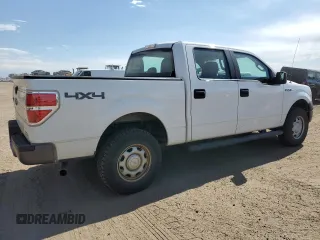 2013 Ford F-150 XL with VIN 1FTFW1EF1DKE83536, listed as a Copart auction lot 64223565 with 227,452 mi miles and Clean title. Bid and sale history available at DreamBid. Image 3.