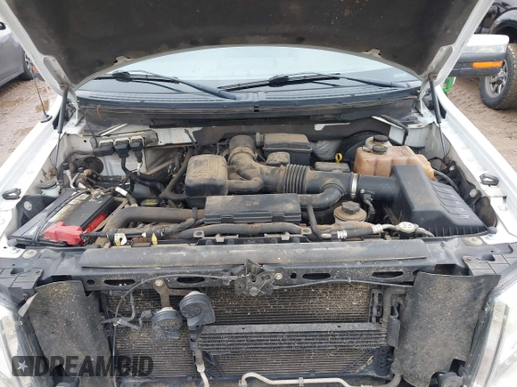 2009 Ford F-150 XL with VIN 1FTPW14VX9KC06789, listed as a IAAI auction lot 40664180 with 196,599 mi miles and . Bid and sale history available at DreamBid. Image 10.