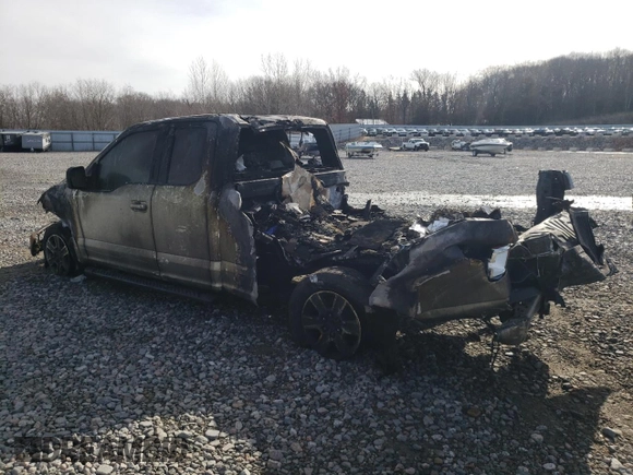2017 Ford F-150 XL with VIN 1FTFX1EF8HFA34138, listed as a Copart auction lot 48054865 with Not Provided miles and Salvage Title. Bid and sale history available at carsss.com. Image 2.