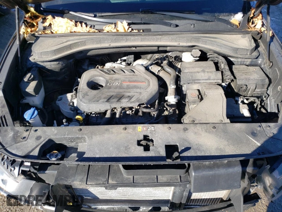 2020 Hyundai Santa Fe SEL with VIN 5NMS3CAAXLH275078, listed as a Copart auction lot 42178595 with 49,491 mi miles and Salvage Title. Bid and sale history available at carsss.com. Image 11.
