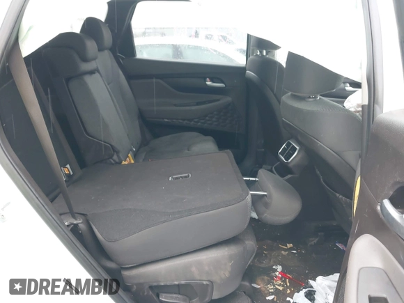 2019 Hyundai Santa Fe SE with VIN 5NMS2CAD1KH032805, listed as a IAAI auction lot 42385798 with Not provided miles and . Bid and sale history available at DreamBid. Image 8.
