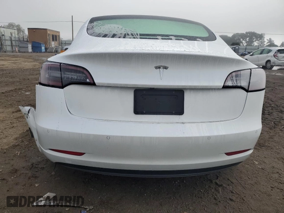 2021 Tesla Model 3 Standard Range Plus with VIN 5YJ3E1EA1MF066389, listed as a Copart auction lot 48053925 with 119,105 mi miles and Salvage Title. Bid and sale history available at carsss.com. Image 6.