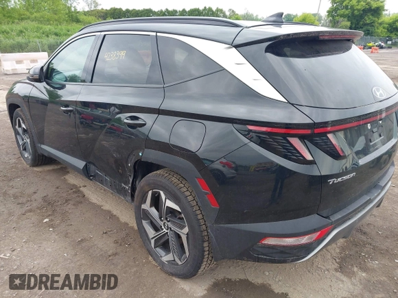 2023 Hyundai Tucson Limited with VIN 5NMJECAE8PH185460, listed as a IAAI auction lot 42383919 with 35,804 mi miles and . Bid and sale history available at DreamBid. Image 3.