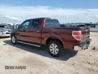 2010 Ford F-150 XL with VIN 1FTEW1C87AFD03660, listed as a Copart auction lot 53925855 with 252,174 mi miles and Clean Title. Bid and sale history available at DreamBid. Image 2.