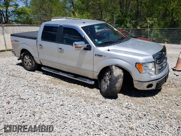 2013 Ford F-150 XL with VIN 1FTFW1EF5DFC77791, listed as a Copart auction lot 56161675 with 115,820 mi miles and Salvage Title. Bid and sale history available at DreamBid. Image 4.