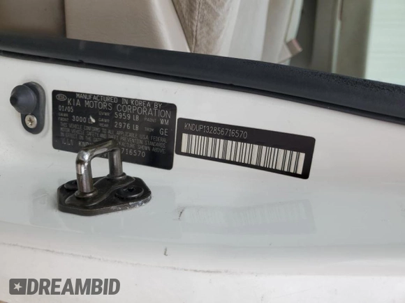 2005 Kia Sedona LX with VIN KNDUP132856716570, listed as a Copart auction lot 45848965 with 137,589 mi miles and Salvage Title. Bid and sale history available at carsss.com. Image 14.