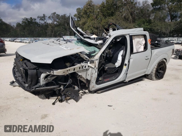2017 Ford F-150 Raptor with VIN 1FTFW1RG0HFB64324, listed as a Copart auction lot 44772605 with Not Provided miles and Non Repairable. Bid and sale history available at carsss.com. Image 1.