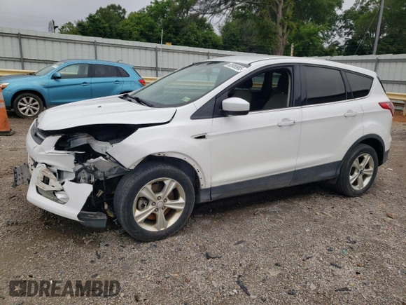 2013 Ford Escape SE with VIN 1FMCU0G91DUC27164, listed as a Copart auction lot 60989985 with 189,612 mi miles and Salvage title. Bid and sale history available at DreamBid. Image 1.