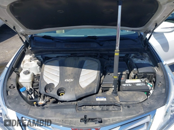 2013 Hyundai Azera with VIN KMHFG4JG5DA267347, listed as a IAAI auction lot 42580501 with 111,975 mi miles and . Bid and sale history available at DreamBid. Image 10.