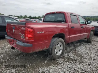 2010 Dodge Dakota SXT with VIN 1D7CW3GP8AS230686, listed as a Copart auction lot 65687704 with 110,017 mi miles and Salvage Title. Bid and sale history available at carsss.com. Image 3.