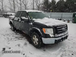 2010 Ford F-150 XL with VIN 1FTEW1E88AFC73162, listed as a Copart auction lot 67450871 with 288,009 mi miles and Clean title. Bid and sale history available at DreamBid. Image 11.