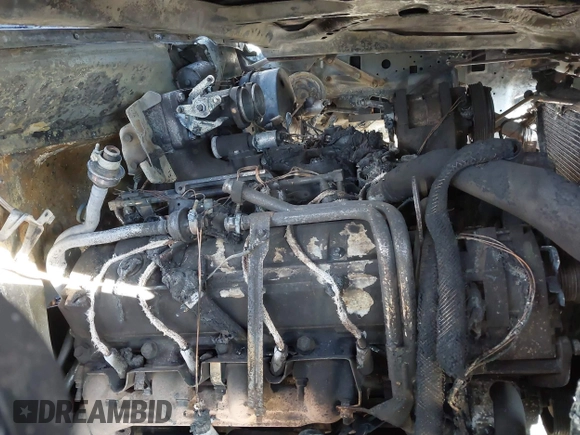 1991 Ford F-250 HD with VIN 1FTHX26G6MKA12226, listed as a IAAI auction lot 40497279 with Not Provided miles. Bid and sale history available at carsss.com. Image 10.