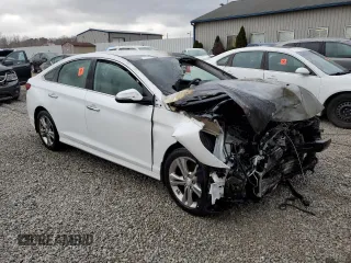 2019 Hyundai Sonata SEL with VIN 5NPE34AF1KH762699, listed as a Copart auction lot 49857895 with Not Provided miles and Non Repairable. Bid and sale history available at DreamBid. Image 4.