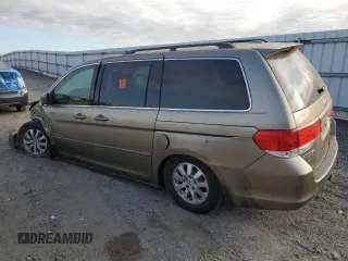 2009 Honda Odyssey EX-L with VIN 5FNRL38649B413532, listed as a Copart auction lot 79867014 with 308,701 mi miles and Salvage Title. Bid and sale history available at DreamBid. Image 2.