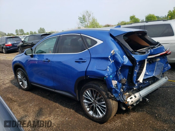 2022 Lexus NX with VIN 2T2GKCEZ6NC003981, listed as a Copart auction lot 56117113 with 15,294 mi miles. Bid and sale history available at carsss.com. Image 2.