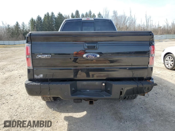 2014 Ford F-150 XL with VIN 1FTFX1ET5EFA49472, listed as a Copart auction lot 48054815 with 137,860 mi miles and Salvage Title. Bid and sale history available at carsss.com. Image 6.