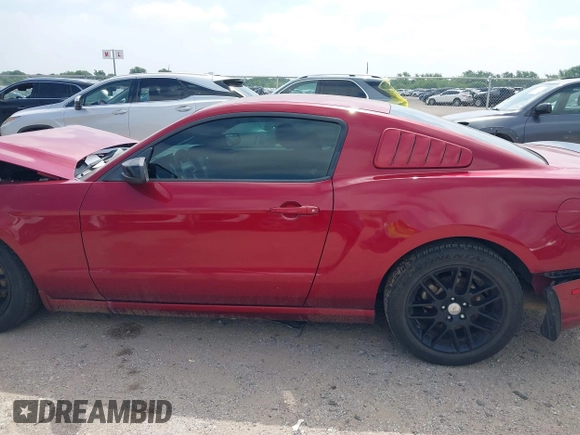 2014 Ford Mustang V6 with VIN 1ZVBP8AM7E5299126, listed as a IAAI auction lot 42343555 with 115,331 mi miles and . Bid and sale history available at DreamBid. Image 14.
