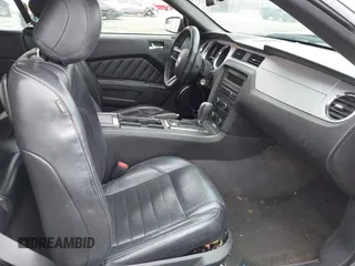 2013 Ford Mustang V6 with VIN 1ZVBP8EM8D5248243, listed as a IAAI auction lot 42429803 with 130,099 mi miles and . Bid and sale history available at DreamBid. Image 5.