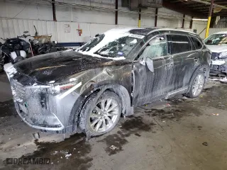 2016 Mazda CX-9 Grand Touring with VIN JM3TCBDY9G0124978, listed as a Copart auction lot 45222965 with 163,492 mi miles and Salvage Title. Bid and sale history available at carsss.com. Image 1.