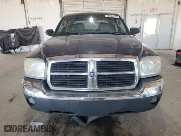 2005 Dodge Dakota SLT with VIN 1D7HW48N95S365965, listed as a Copart auction lot 48505355 with 144,053 mi miles and Salvage Title. Bid and sale history available at carsss.com. Image 5.