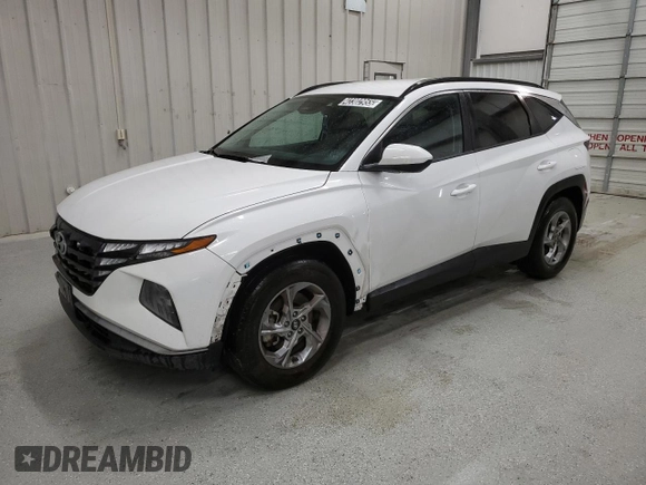 2024 Hyundai Tucson SEL with VIN 5NMJB3DE5RH299570, listed as a Copart auction lot 42302955 with 41,534 mi miles and Clean Title. Bid and sale history available at DreamBid. Image 1.